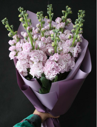 Buchet cu 9 Matthiola