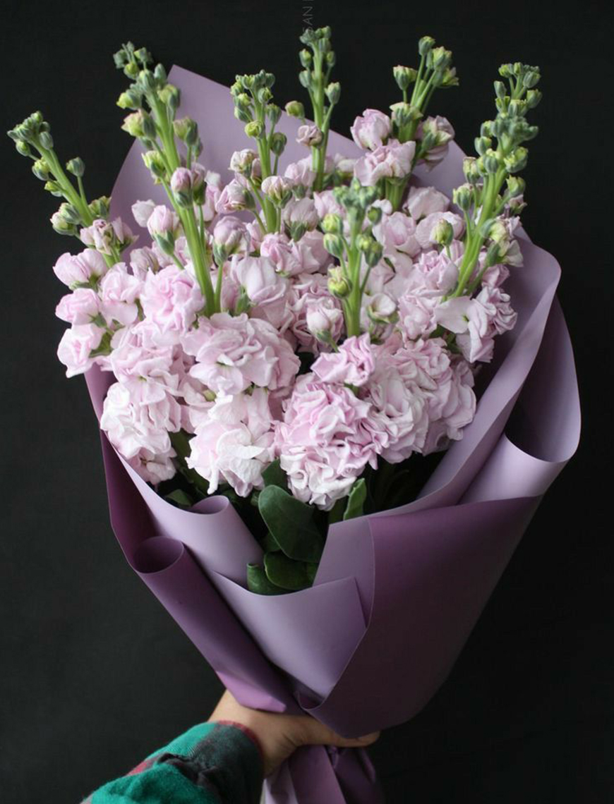 Buchet cu 9 Matthiola