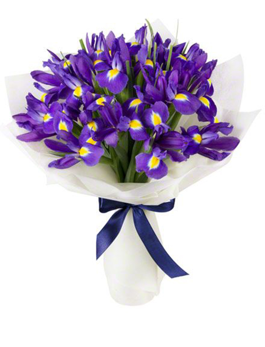 Buchet cu 31 de Stanjenei (IRIS)